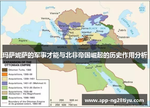 玛萨妮萨的军事才能与北非帝国崛起的历史作用分析